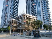 2019年11月工程進(jìn)度