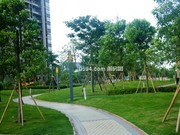 一期小區(qū)實(shí)景圖