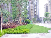 2016年7月工程進(jìn)度