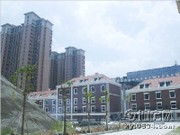 工程進度實景圖