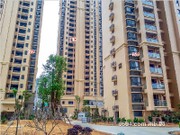 2017年4月工程進(jìn)度