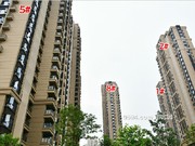 2020年8月工程進(jìn)度圖