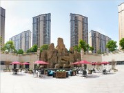 項(xiàng)目實(shí)景圖