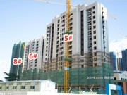 2018年11月工程進度