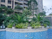 2018年1月工程進(jìn)度