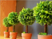 艾力艾80㎡樣板房