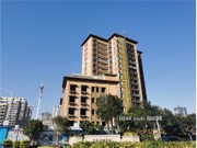 項(xiàng)目實(shí)景圖