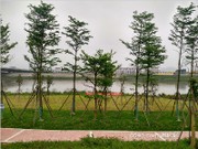 濱溪公園實(shí)景