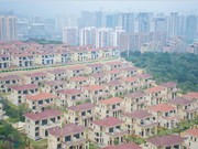 2019年3月工程進(jìn)度