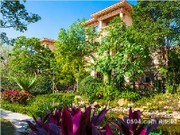 項(xiàng)目實(shí)景圖