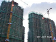 2016年11月工程進(jìn)度圖