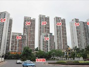 2015年7月實(shí)景圖