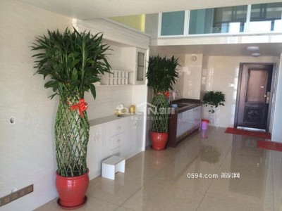 2400/月可以商量聯(lián)創(chuàng)國際廣場(商住樓) 2室2廳1衛(wèi)  電梯房 精裝-莆田租房