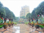 2016年6月工程進(jìn)度圖