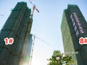 2018年11月工程進度