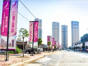 2015年1月工程進(jìn)度