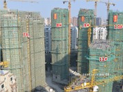 2019年11月工程進(jìn)度