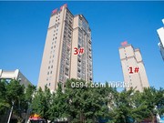 2018年11月工程進度