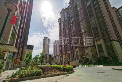 白塘云麓旁 顯應佳園有證 隨時可看房.小高層.-莆田二手房