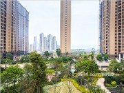 項(xiàng)目實(shí)景圖