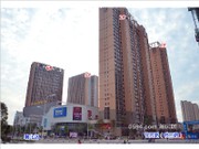 12月工程進度圖