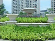 工程進(jìn)度圖