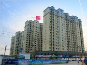 2015年11月工程進(jìn)度