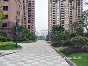 2015年9月小區(qū)環(huán)境