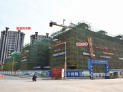 2020年3月25日工程進度