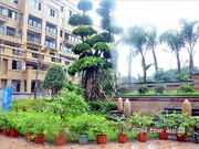 2016年6月工程進(jìn)度圖