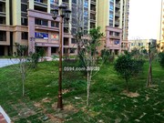 2018年12月26日工程進度