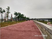 馬拉松跑道實(shí)景