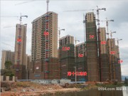 2017年11月工程進度