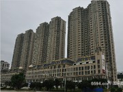 2015年8月工程進(jìn)度