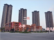 2014年11月29日工程進度