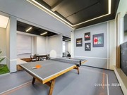 架空層乒乓球桌