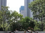 小區(qū)實(shí)景 (2)