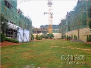 工程進(jìn)度圖