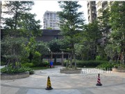 項(xiàng)目空中花園