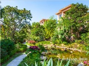 項(xiàng)目實(shí)景圖