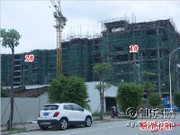 工程進(jìn)度圖