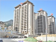 2019年11月工程進度