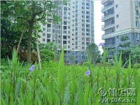 工程進(jìn)度圖