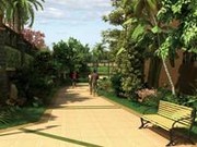 特色綠籬圍墻效果圖