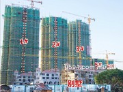 2018年11月工程進(jìn)度