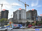 2020年8月工程進度