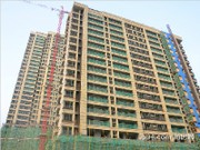 10月份工程進度