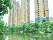 2017年5月工程進(jìn)度圖