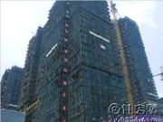 工程進(jìn)度圖