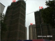 2015年3月工程進度